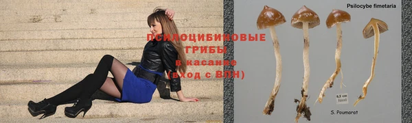 кокаин премиум Осинники
