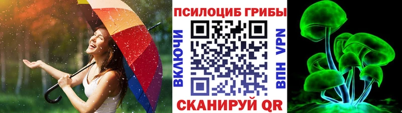 Псилоцибиновые грибы Psilocybe  Тутаев 