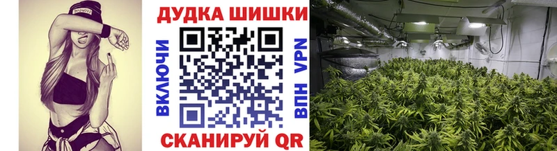 kraken tor  Тутаев  Шишки марихуана ГИДРОПОН 